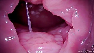 Cervix, Vore, Giantess, ASMR