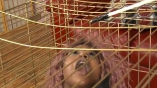 Caged Black Ghetto Whore Slapped Around And Face FUcked