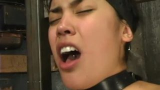 Dazzling Aki Tsugihara acting in BDSM video