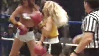 Foxy boxing 3