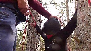 Tied To A Tree On A Sensual Outfit, Masked And Outdoor Deepthroating With No Mercy - Oral Sex