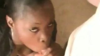 Amateur black girl sucking white dick