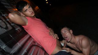 Local hottie Drago Lembeck fucks kinky tourist Marty