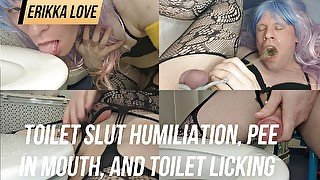 Toilet slut humiliation, pee in mouth, and toilet licking