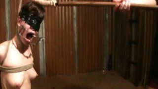 Worship the Dildo