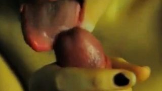 Close up blowjob and a thick cumshot in a thick lips