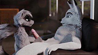 Aaron Fox X Robin Raccoon Oral Sex