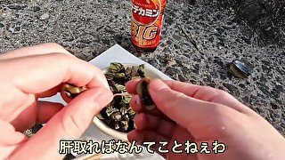 海の珍味　カメノテをおつまみにして食べる