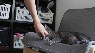 First time touching the Pussy