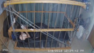 The Cage Cam May 8 2018 0715 reading "the marketplace"