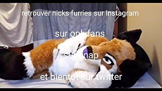 Orgie de furry