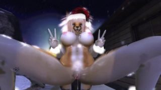 Christmas Night - The Northern Lights ( Furry / Yiff )