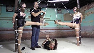 Btbb Big Gag