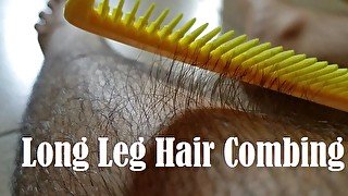 Combing My Long Leg Hair With Close Ups