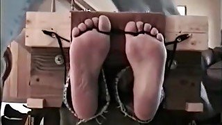 Feet tickled in stocks