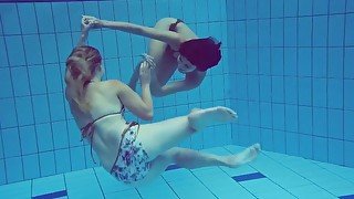 Lesbians in the pool hot action