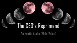 The CEO's Reprimand [Erotic Audio] [Spanking] [Pet Play] [Temp]