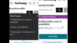 Fluffy undies finally rated and appraised by GoDaddy as Premium and great