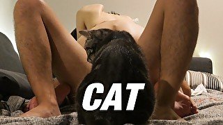 【素人・個人撮影】猫の嫉妬でSEX中断・結合部アップ・騎乗位 #15-2