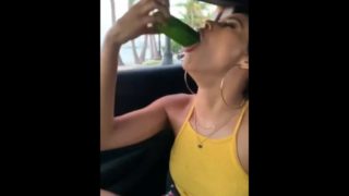 New England hoe slurps cucumbers