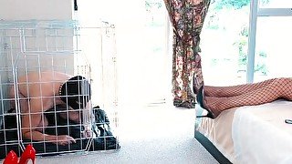 Caged Shoe bitch - Femdom Foot slave Training T&D - Young Goddess Kim