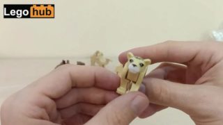 Lego HD Porn Search - Xvidzz.com