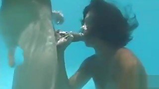Underwater orgy oral sex