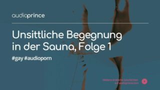 Gay Audio Porn: Unsittliche Begegnung in der Sauna, deutsche Erotik Hörgeschichte