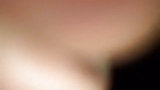 pussy licker