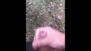 Jerking in the woods