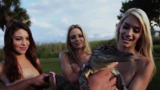 Hot blonde lesbian babes touched guys big aligator