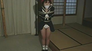 Japanese Bondage Model