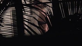 Neighbour 2