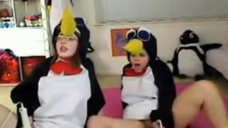 Teen penguins on cam