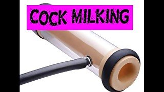 Cock Milking