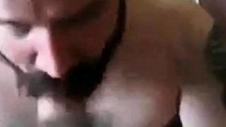 Bearded daddy sucks big hairy cock