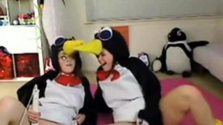 Teen penguins on cam