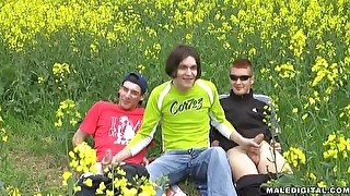 Picnic in the nature turns to sex adventure for horny gay friends