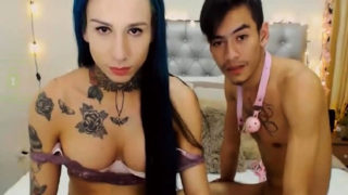 Inked Busty Shemale makes her BF Sucks Her Cock