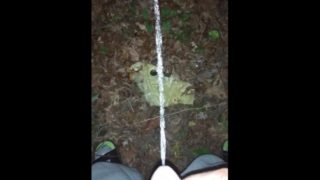 Guy pisses in woods