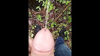 pissing and masturbate in forrest