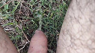 Pissing on grass outdoors compilation