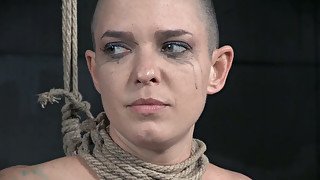 Caged hottie looks bald wench Abigail Dupree getting bound and whipped hard