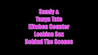 Sandy And Tanya Tate Lesbian Kitchen Sex Bts - Sex Movies Featuring Tanya Tate