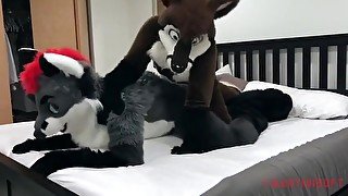 Felix Pounces Martini (Fursuit Sex)