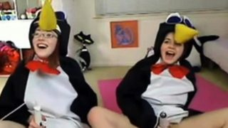 Teen penguins on cam