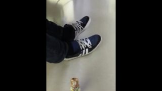 Shoeplay Video 024: Adidas Shoeplay At Work 4 (Easter Edition)