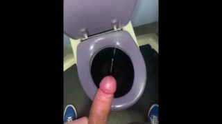 Jerking off in Train Toilets