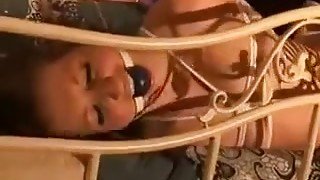 Femdom Fetish Enormous Torture Play And Trampling