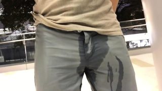 Public selfpissing in a train station